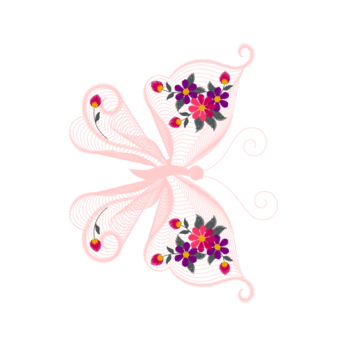 Swallowtail Butterfly Other Swallowtail Butterfly Other