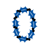 Symmetry Other Symmetry Other