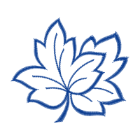 Symmetry Other Symmetry Other