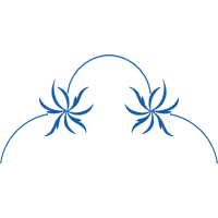 Symmetry Other Symmetry Other