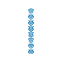 Symmetry Other Symmetry Other