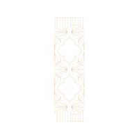 Symmetry Other Symmetry Other