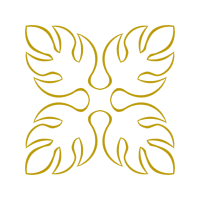 Symmetry Other Symmetry Other