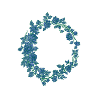 Teal Other Teal Other