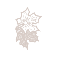 Textile Other Textile Other