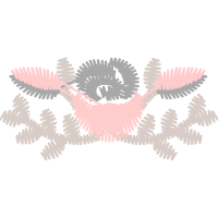 Textile Other Textile Other