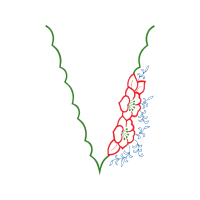 The Arts Other The Arts Other