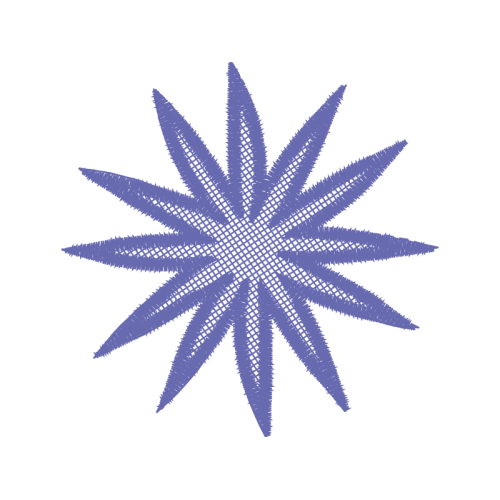 The Color Star Other The Color Star Other