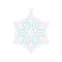 The Cult Other The Cult Other