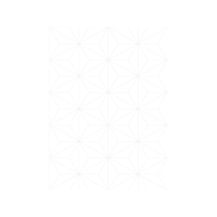 Triangle Other Triangle Other