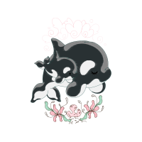 Tucuxi Other Tucuxi Other