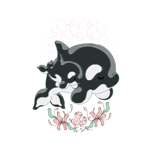 Tucuxi Other Tucuxi Other