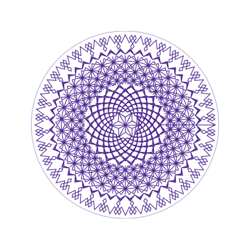 Turtles Other Turtles Other