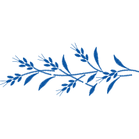 Twig M Other Twig M Other