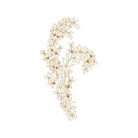 Twig M Other Twig M Other