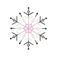 Vector Other Vector Other