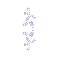 Vervain Other Vervain Other