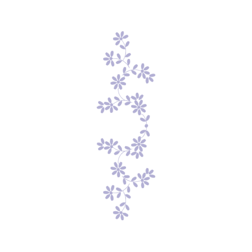 Vervain Other Vervain Other