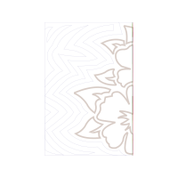 Visual Arts Other Visual Arts Other