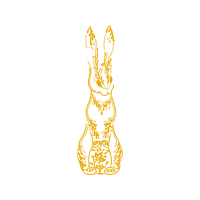 Visual Arts Other Visual Arts Other