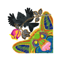 Visual Arts Other Visual Arts Other