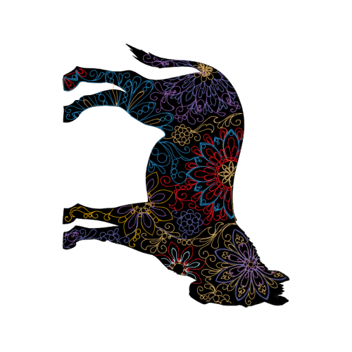 Visual Arts Other Visual Arts Other