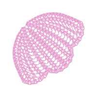 Web Accessibility Other