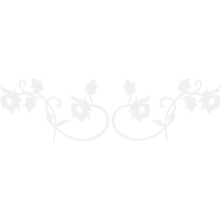 White Other White Other