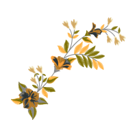 White Oak Other White Oak Other