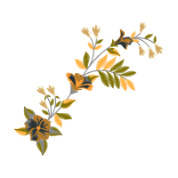 White Oak Other White Oak Other