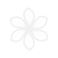 White Other White Other