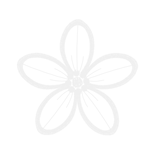 White Other White Other