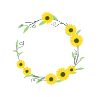 Yellow Other Yellow Other