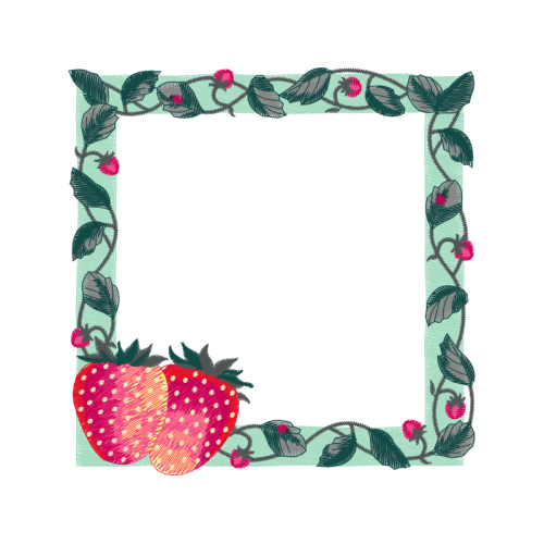 Accessory Fruit Other Accessory Fruit Other