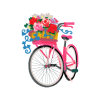 Bicycle Other Bicycle Other