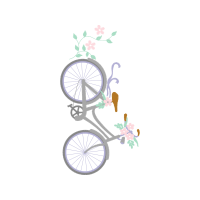 Bike Other Bike Other