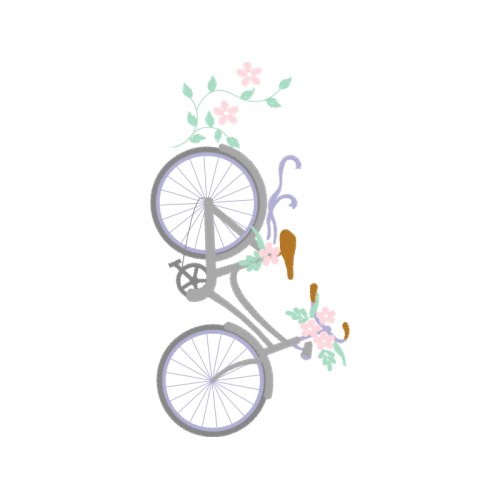 Bike Other Bike Other