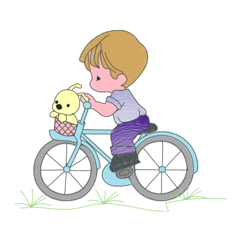 Bike Other Bike Other