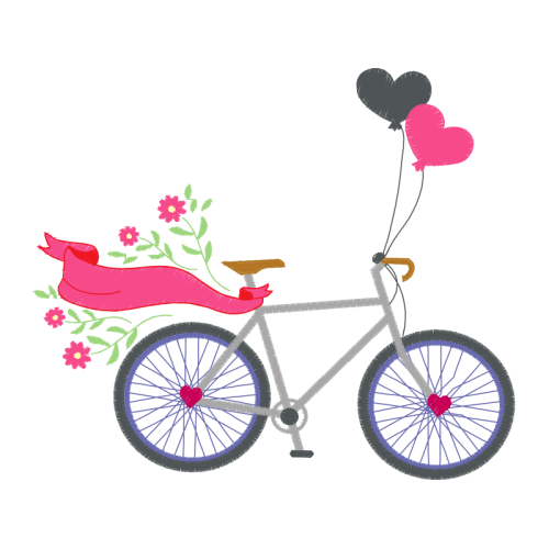 Bike Other Bike Other