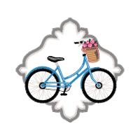 Bike Other Bike Other