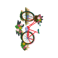 Bike Other Bike Other