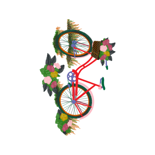 Bike Other Bike Other