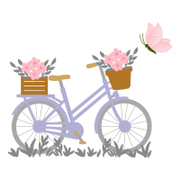 Bike Other Bike Other