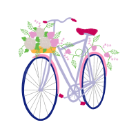 Bike Other Bike Other