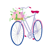 Bike Other Bike Other