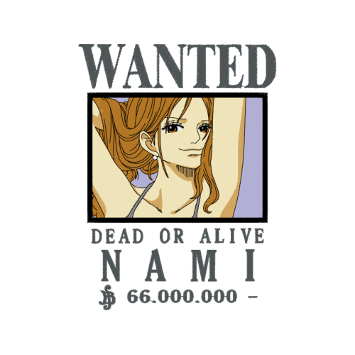 Nami Other Nami Other