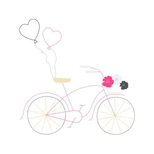 Road Bike Other Road Bike Other