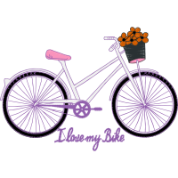 Road Bike Other Road Bike Other