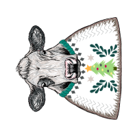 Albany Police Department Other