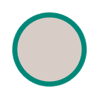 Circle Other Circle Other